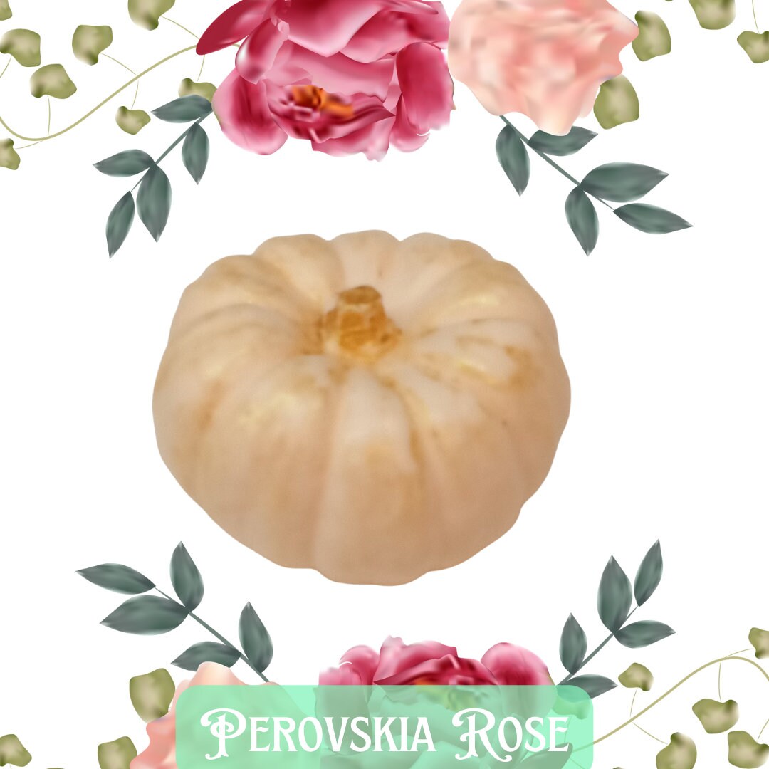 Celtic Pumpkin Soap Set: Irish Flag Colors, Fall Decor